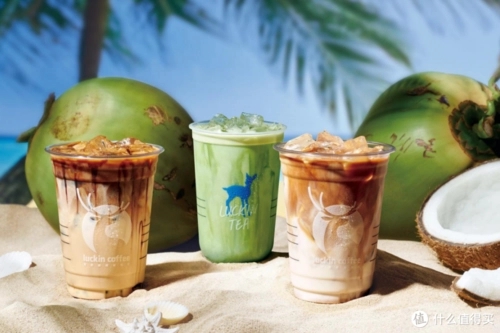 全方位解析瑞幸咖啡加盟面临的挑战与机遇