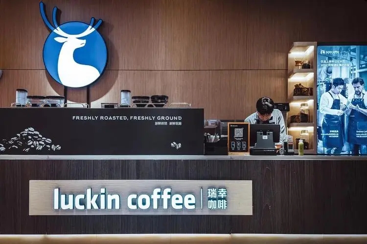 库迪咖啡加盟真实经历