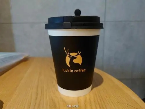 瑞幸咖啡加盟创业计划书ppt