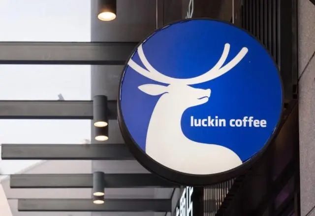 行业分析与前景展望